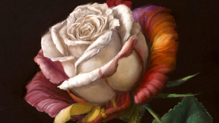 Weiße Rose – Öl auf Leinwand